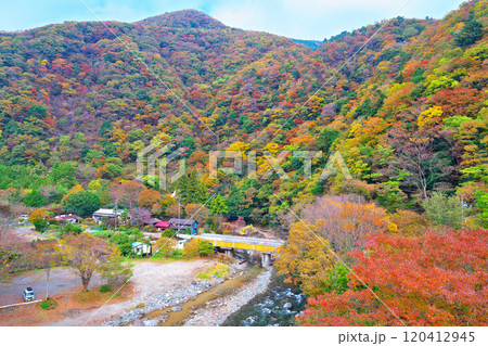 道志川、下村キャンプ場付近の紅葉 道志川、下村キャンプ場付近の紅葉 120412945
