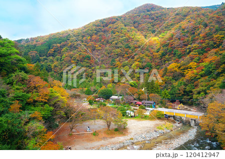 道志川、下村キャンプ場付近の紅葉 120412947