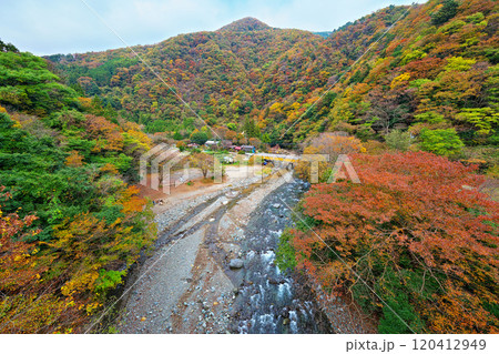 道志川、下村キャンプ場付近の紅葉 120412949