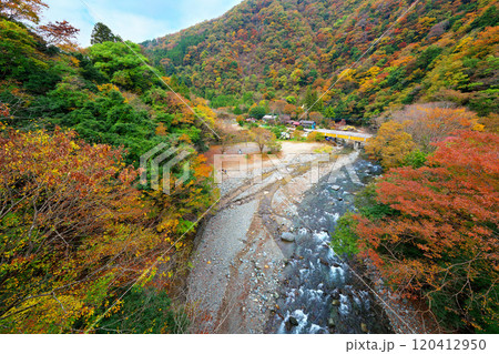 道志川、下村キャンプ場付近の紅葉 120412950