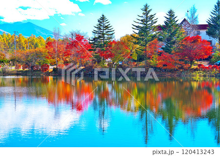 蓼科湖の紅葉 120413243
