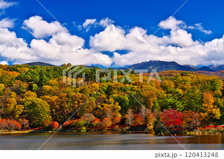 蓼科湖の紅葉 120413248