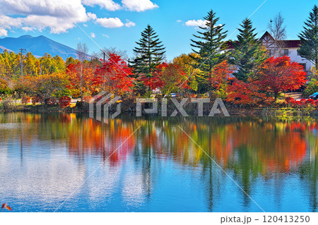 蓼科湖の紅葉 120413250