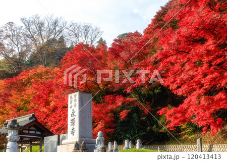 茨城県大子町　紅葉最盛期の永源寺もみじ寺 120413413