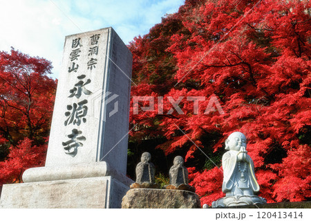 茨城県大子町　紅葉最盛期の永源寺もみじ寺 120413414
