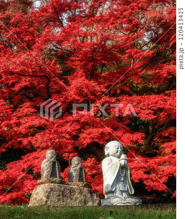 茨城県大子町　紅葉最盛期の永源寺もみじ寺 120413415