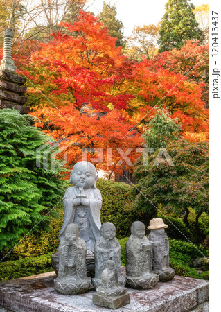 茨城県大子町　紅葉最盛期の永源寺もみじ寺 120413437