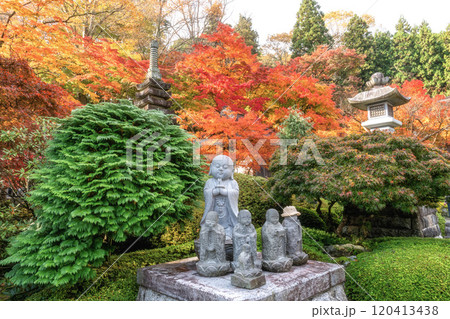 茨城県大子町　紅葉最盛期の永源寺もみじ寺 120413438