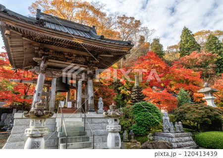 茨城県大子町　紅葉最盛期の永源寺もみじ寺 120413439