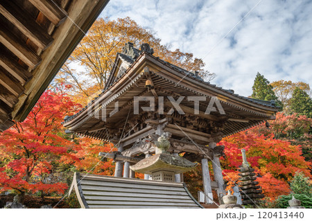 茨城県大子町　紅葉最盛期の永源寺もみじ寺 120413440