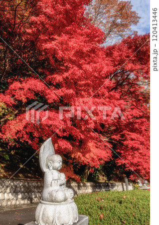 茨城県大子町　紅葉最盛期の永源寺もみじ寺 120413446