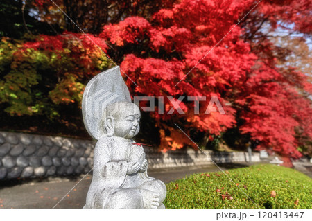 茨城県大子町　紅葉最盛期の永源寺もみじ寺 120413447