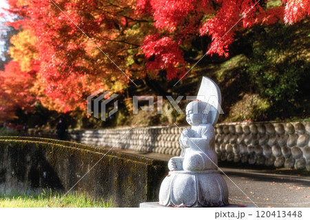 茨城県大子町　紅葉最盛期の永源寺もみじ寺 120413448