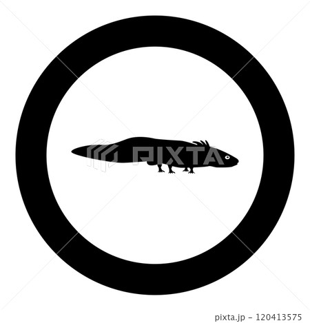 Axolotl ambystoma mexicanum view side icon in circle round black color vector illustration image solid outline style 120413575