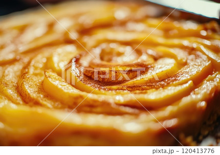 Golden Brown Apple Tart with Swirled Apples Golden Brown Apple Tart with Swirled Apples 120413776