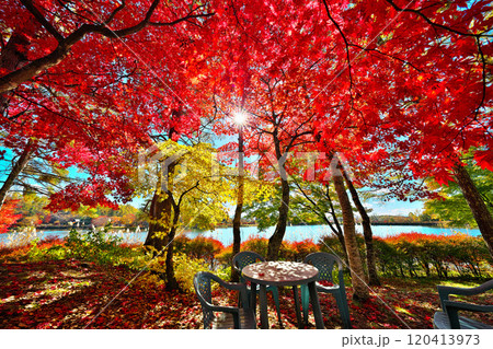 蓼科湖の紅葉 蓼科湖の紅葉 120413973