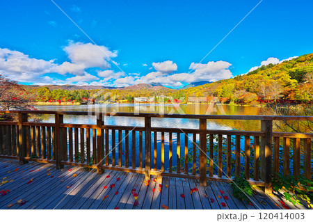 蓼科湖の紅葉 蓼科湖の紅葉 120414003