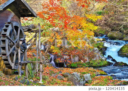 蓼科グランドホテル滝の湯の紅葉 蓼科グランドホテル滝の湯の紅葉 120414135