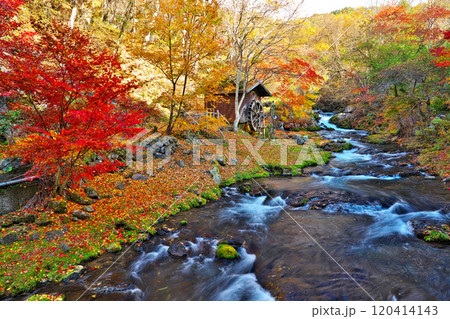 蓼科グランドホテル滝の湯の紅葉 蓼科グランドホテル滝の湯の紅葉 120414143