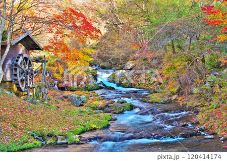 蓼科グランドホテル滝の湯の紅葉 120414174