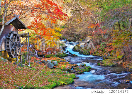 蓼科グランドホテル滝の湯の紅葉 蓼科グランドホテル滝の湯の紅葉 120414175