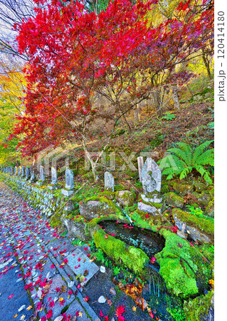 蓼科グランドホテル滝の湯の紅葉 120414180