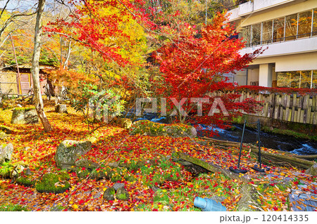 蓼科グランドホテル滝の湯の紅葉 120414335