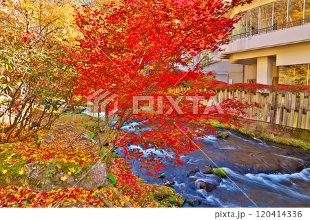 蓼科グランドホテル滝の湯の紅葉 120414336