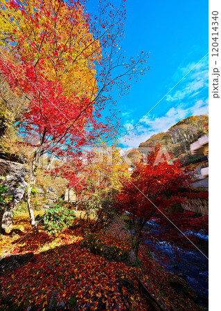 蓼科グランドホテル滝の湯の紅葉 蓼科グランドホテル滝の湯の紅葉 120414340