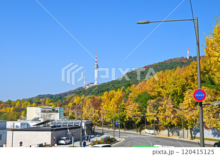 秋の南山山麓の銀杏並木とNソウルタワー【韓国/ソウル】 秋の南山山麓の銀杏並木とNソウルタワー【韓国/ソウル】 120415125