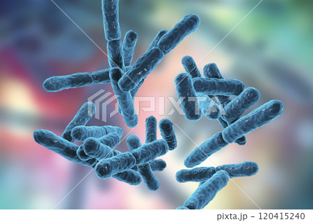Bacteria Bifidobacterium, gram-positive anaerobic rod-shaped bacteria 120415240