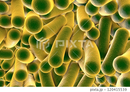 Rod shaped bacteria 120415539