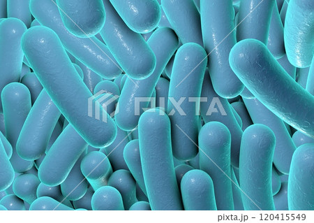 Rod shaped bacteria 120415549