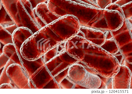 Close-up view of rod-shaped bacteria 120415571
