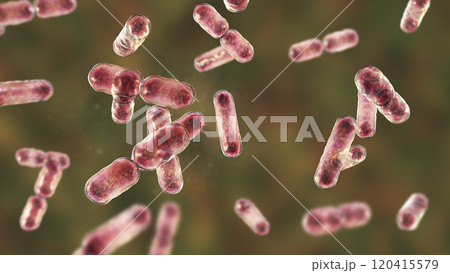 Bacteria Bacteroides, 3D illustration 120415579