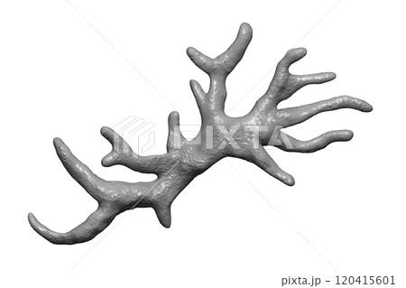 Balamuthia mandrillaris amoeba Balamuthia mandrillaris amoeba 120415601