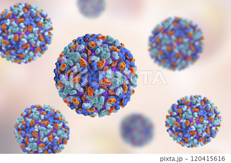 Barmah forest virus 120415616