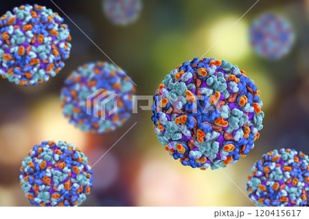 Barmah forest virus Barmah forest virus 120415617