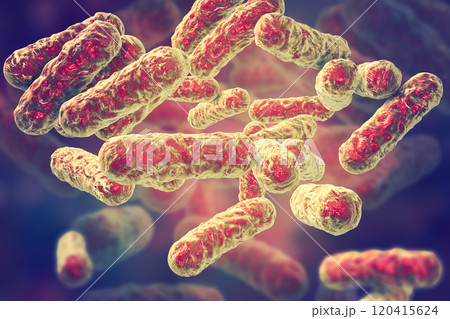 Bartonella henselae bacteria, the causative agent of cat-scratch disease 120415624