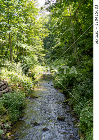 北海道札幌市滝野すずらん公園のアシリベツの滝付近 120415683