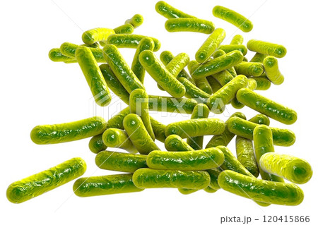Rod shaped bacteria 120415866