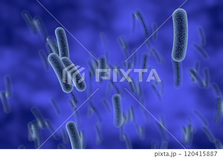 Rod shaped bacteria Rod shaped bacteria 120415887