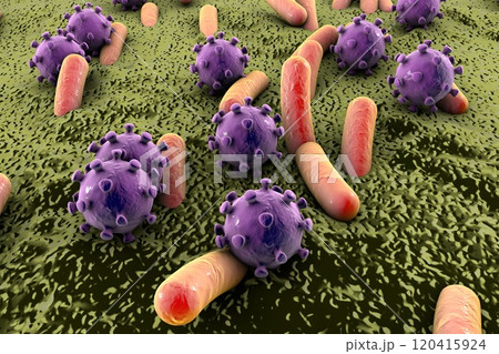 Bacteria and viruses illustration 120415924