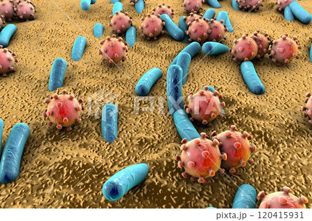 Bacteria and viruses illustration Bacteria and viruses illustration 120415931