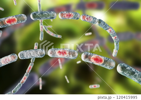 Bacteria Bacillus anthracis Bacteria Bacillus anthracis 120415995