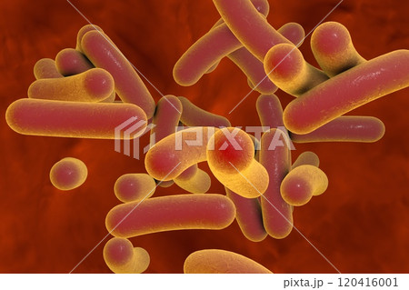 Rod shaped bacteria Rod shaped bacteria 120416001