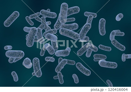 Rod shaped bacteria 120416004