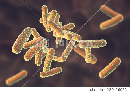 Human pathogenic bacteria Human pathogenic bacteria 120416023