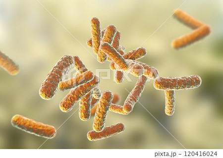 Human pathogenic bacteria Human pathogenic bacteria 120416024