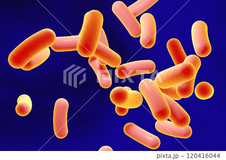 Rod shaped bacteria Rod shaped bacteria 120416044